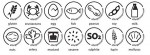 Allergeneniconen Engels set digitaal